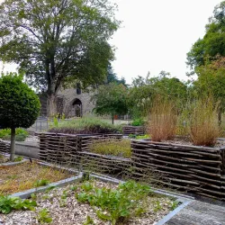 Parc du Château - Mayenne