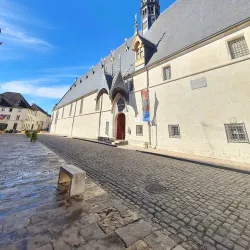 Hôtel-Dieu Museum - Mâcon (Macon