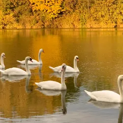 Saône River Promenade - Mâcon (Macon