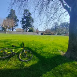 Saône River Promenade - Mâcon (Macon