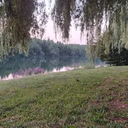 Saône River Promenade - Mâcon (Macon