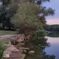 Saône River Promenade - Mâcon (Macon