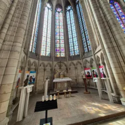 Cathédrale Saint-Étienne de Meaux - Meaux
