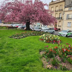 Hôtel de Ville de Meaux - Meaux