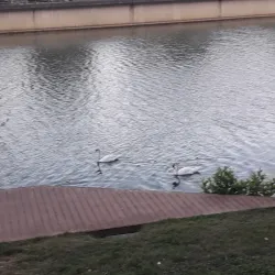 Les Bords de Marne - Meaux