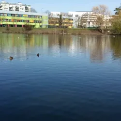 Parc Naturel du Pâtis - Meaux