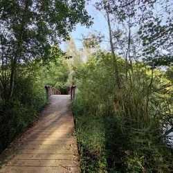 Parc Naturel du Pâtis - Meaux