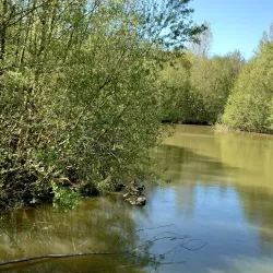 Parc Naturel du Pâtis - Meaux