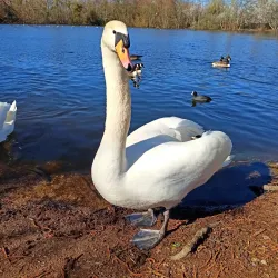 Parc Naturel du Pâtis - Meaux