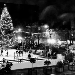 Place Henri IV - Meaux