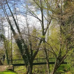 Parc des Moulins - Melun