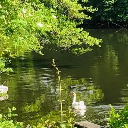 Château de Bourran - Merignac