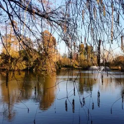 Parc de Bourran - Merignac