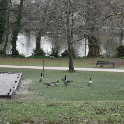 Parc de Bourran - Merignac