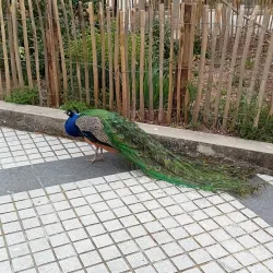 Parc de la Mairie - Merignac