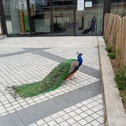 Parc de la Mairie - Merignac