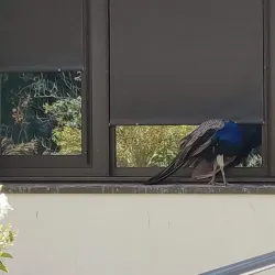 Parc de la Mairie - Merignac