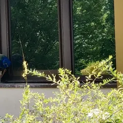 Parc de la Mairie - Merignac