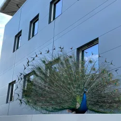 Parc de la Mairie - Merignac