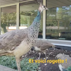 Parc de la Mairie - Merignac