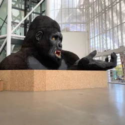 Centre Pompidou-Metz - Metz