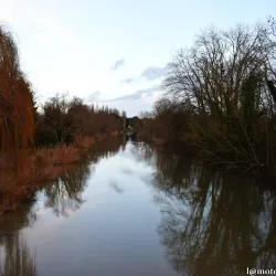 Moselle River Promenade - Metz