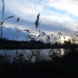 Moselle River Promenade - Metz
