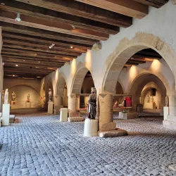 Musée de la Cour d'Or - Metz