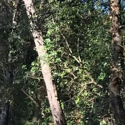 Sentier du Littoral - Miramas