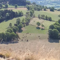 Chapelle Saint-Antoine - Montlucon