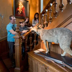 La Maison Mantin - Montlucon