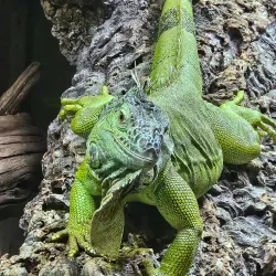Aquarium Mare Nostrum - Montpellier