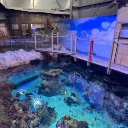 Aquarium Mare Nostrum - Montpellier