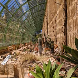Jardin des Plantes de Montpellier - Montpellier