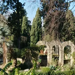 Jardin des Plantes de Montpellier - Montpellier
