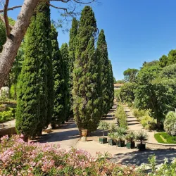 Jardin des Plantes de Montpellier - Montpellier