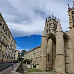 Montpellier Cathedral (Cathédrale Saint-Pierre) - Montpellier