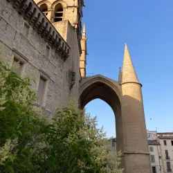 Montpellier Cathedral (Cathédrale Saint-Pierre) - Montpellier