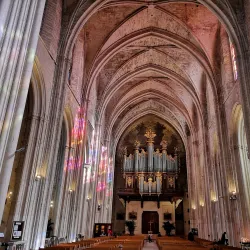 Montpellier Cathedral (Cathédrale Saint-Pierre) - Montpellier
