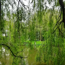 Parc de la Mare aux Champs - Montévrain