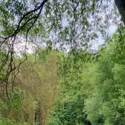 Parc de la Mare aux Champs - Montévrain