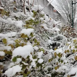 Parc des Communes de Montévrain - Montévrain