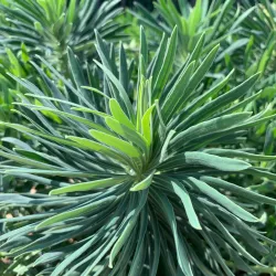 Parc des Communes de Montévrain - Montévrain