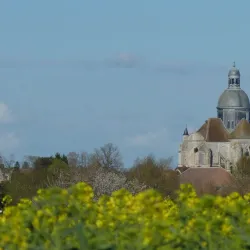 Seine-et-Marne Countryside - Montévrain