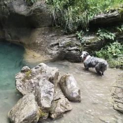 Cascade de Nyon - Morzine
