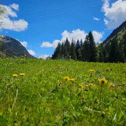 Cascade de Nyon - Morzine
