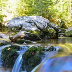 Lac de Montriond - Morzine