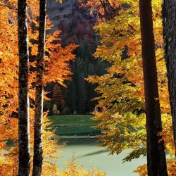 Lac de Montriond - Morzine