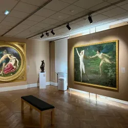Musée des Beaux-Arts de Mulhouse - Mulhouse