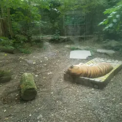 Parc Zoologique et Botanique de Mulhouse - Mulhouse